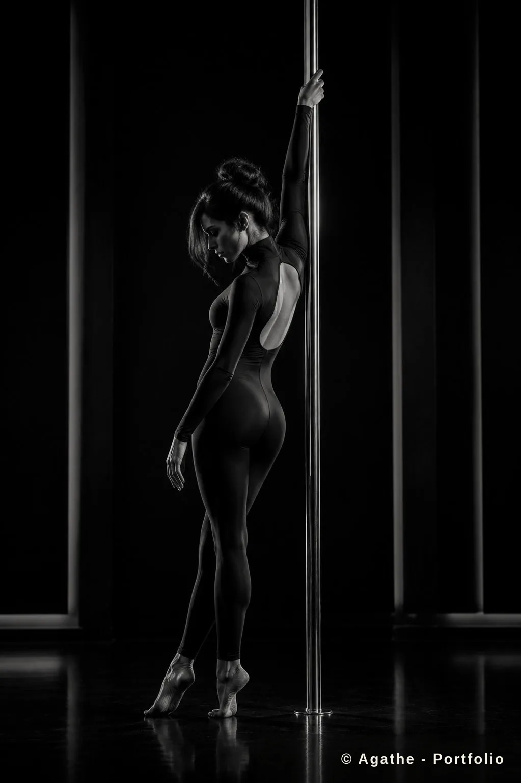 Silhouette pole basse dans une ambiance sombre